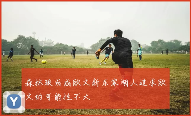 森林狼或成欧文新东家湖人追求欧文的可能性不大