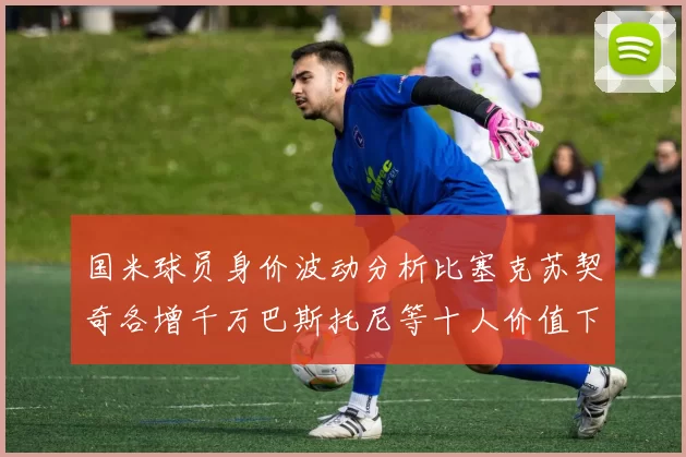 国米球员身价波动分析比塞克苏契奇各增千万巴斯托尼等十人价值下滑